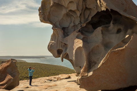 Kangaroo Island In A Day Tour From Adelaide - Flights 5