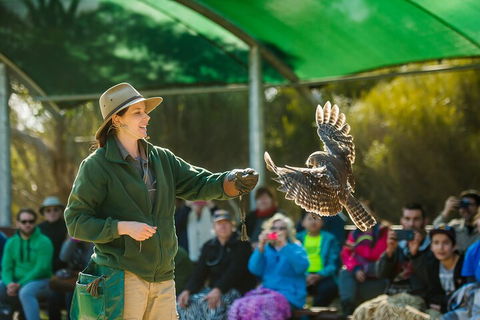 Full Day Kangaroo Island Sip And See Tour Departing From Kangaroo Island - Flights 1