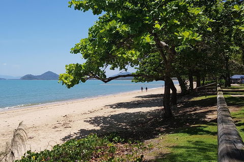 Small-Group Afternoon Cairns City Tour With Harbour Dinner Cruise - Flights 1