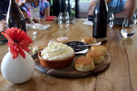 Small-Group Afternoon Cairns City Tour With Harbour Dinner Cruise - Flights 3