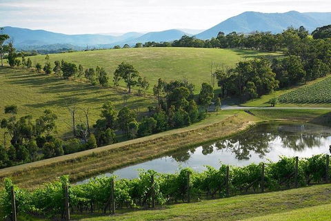 Yarra Valley Wine And Cider Tours By Classic Convertibles From Melbourne - Flights 1