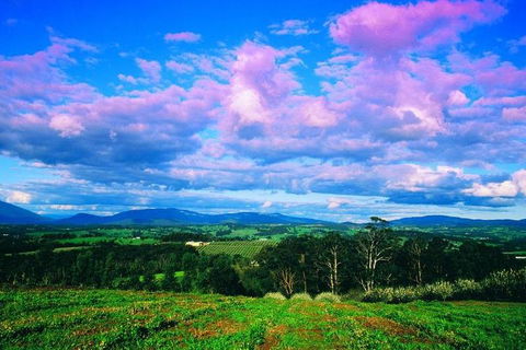 Yarra Valley Wine And Cider Tours By Classic Convertibles From Melbourne - Flights 3
