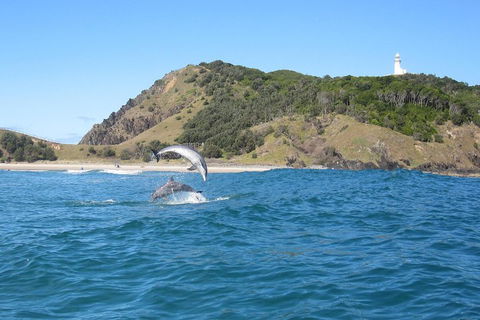Kayaking With Dolphins In Byron Bay Guided Tour - Flights 0