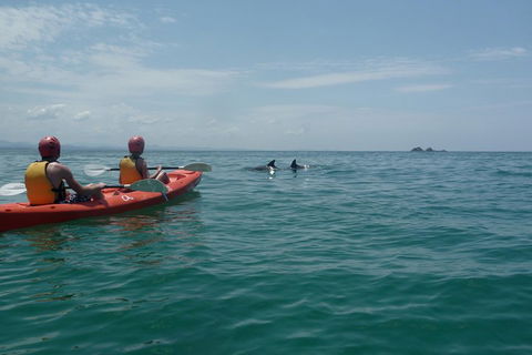 Kayaking With Dolphins In Byron Bay Guided Tour - Flights 4