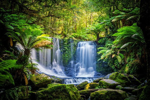 Day Tour In Mt. Field, Mt. Wellington, Bonorong Wildlife Sanctuary And Richmond - Flights 0