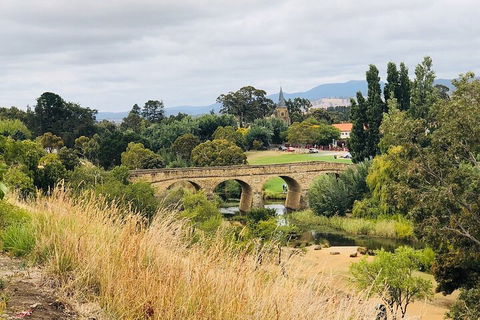Day Tour In Mt. Field, Mt. Wellington, Bonorong Wildlife Sanctuary And Richmond - Flights 3