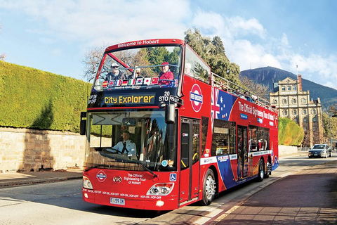 Hobart Hop-On Hop-Off Bus & Kunanyi/Mt Wellington Tour - Flights 4