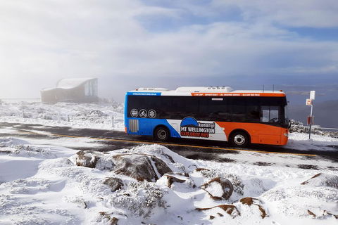 Hobart Hop-On Hop-Off Bus & Kunanyi/Mt Wellington Tour - Flights 5