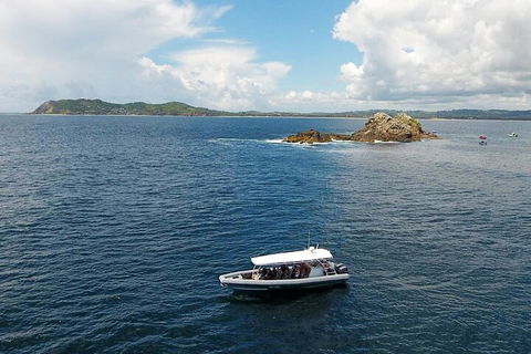 Julian Rocks Byron Bay Cruise - Flights 5