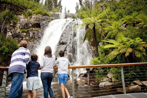 Lake Mountain Snow Trip Including Yarra Valley Chocolaterie From Melbourne - Flights 0