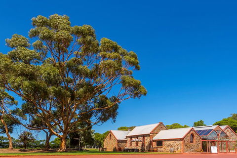 McLaren Vale And Glenelg Wine Tasting And Sightseeing (Half-day Afternoon) - Flights 5