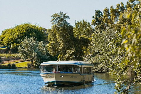 High Tea Cruise On Popeye - Flights 3