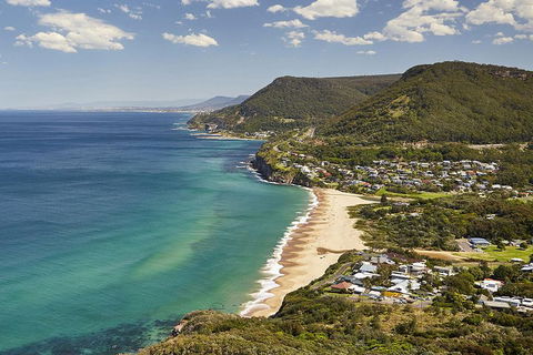 Private Tour: Sydney South Coast & Highlands - Flights 5