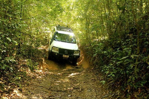 Barron Gorge And Kuranda National Park Half Day Rainforest And Waterfall 4WD Tour From Cairns - Flights 2