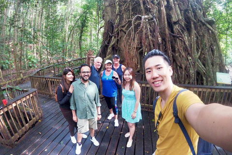Barron Gorge And Kuranda National Park Half Day Rainforest And Waterfall 4WD Tour From Cairns - Flights 5