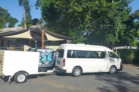 Airport Transfer To Or From Cairns Hotels For Up To 13 People - Flights 4