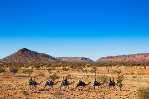 Alice Springs Camel Tour - Flights 0