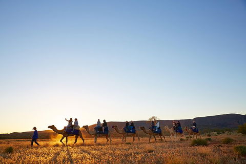Alice Springs Camel Tour - Flights 1