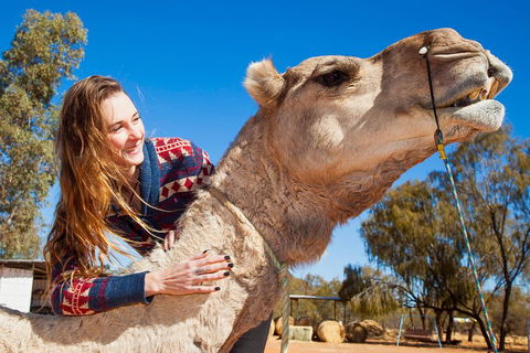 Alice Springs Camel Tour - Flights 2