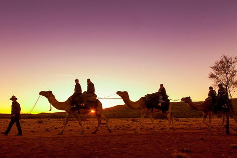 Alice Springs Camel Tour - Flights 4