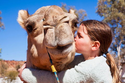 Alice Springs Camel Tour - Flights 5