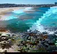 Private Sydney Foreshores and Beaches SUV Tour - Flights
