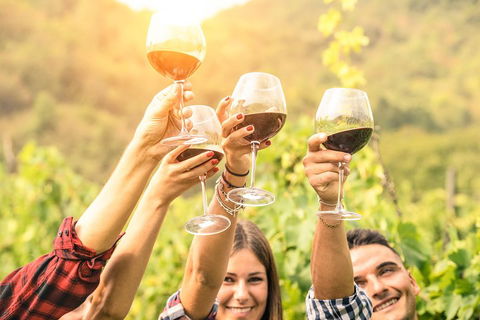 Adelaide Hills Day Tour. Winery Cellar Doors - Flights 0