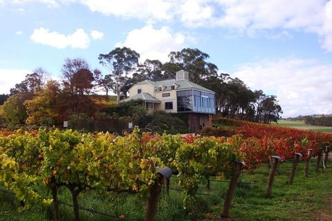 Adelaide Hills Day Tour. Winery Cellar Doors - Flights 4