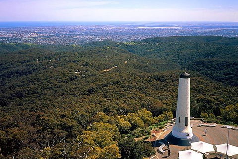 Adelaide Shore Excursion: Adelaide City Tour By Private Limo - Flights 3