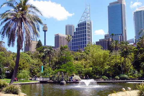 Private Sydney Half Day Tour Including Sydney Opera House And Bondi Beach - Flights 4