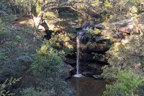 Australian Wildlife & Waterfalls Private Tour With 'Personalised Sydney Tours' - Flights 5