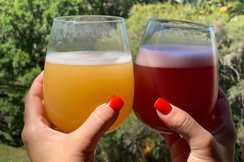 Hipster Sipster Brewery And Distillery Tour - Flights 3