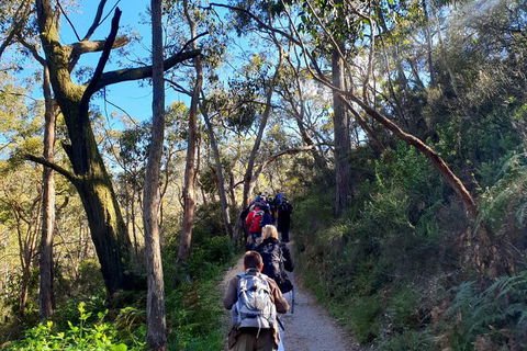 Self-Guided Waterfall Gully To Mount Lofty Hike From Adelaide - Flights 1
