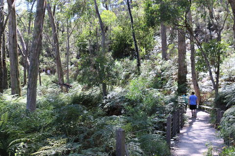Self-Guided Waterfall Gully To Mount Lofty Hike From Adelaide - Flights 2