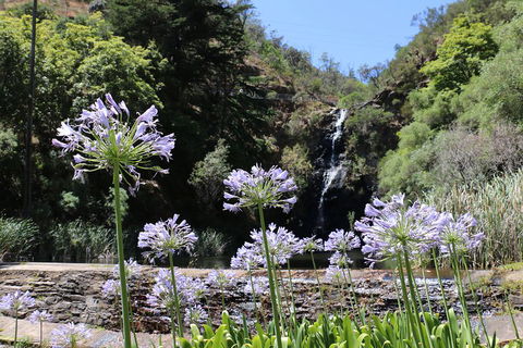 Self-Guided Waterfall Gully To Mount Lofty Hike From Adelaide - Flights 3