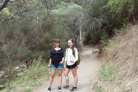 Self-Guided Waterfall Gully To Mount Lofty Hike From Adelaide - Flights 4