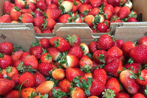 [Private Tour] Mornington Peninsula Family, Maze And Fun! - Flights 2