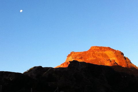 [Private Tour] Mornington Peninsula Family, Maze And Fun! - Flights 4