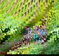 Tasmanian Wine Tour - Flights