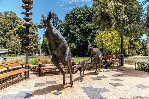 Highlights & Hidden Gems With Locals: Best Of Perth Private Tour - Flights 3