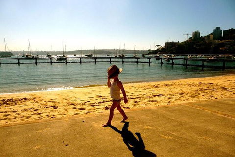 Morning Or Afternoon Highlights Tour In Sydney With A Local Guide - Flights 3