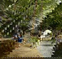 Discover Tour Dandenong Ranges  William Ricketts Sanctuary - Flights