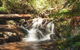 Discover Tour: Dandenong Ranges & William Ricketts Sanctuary - thumb 1