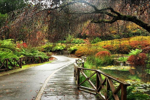 Discover Tour: Dandenong Ranges & William Ricketts Sanctuary - Flights 3