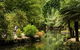Discover Tour: Dandenong Ranges & William Ricketts Sanctuary - thumb 4