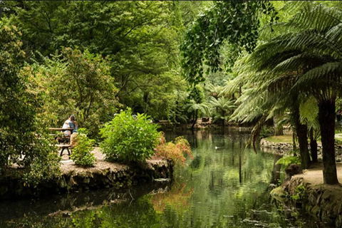 Discover Tour: Dandenong Ranges & William Ricketts Sanctuary - Flights 4