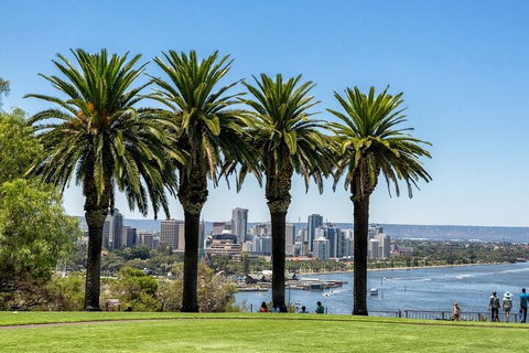Wonderful Perth Self-Guided Audio Tour - Flights 1
