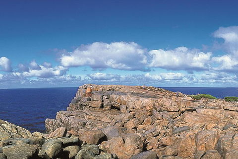 4 Day Tour: Albany, Margaret River, Valley Of The Giants TreeTop Walk From Perth - Flights 0