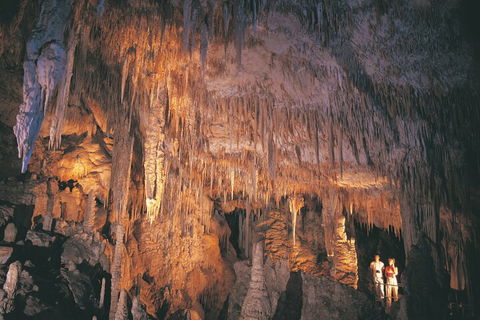 4 Day Tour: Albany, Margaret River, Valley Of The Giants TreeTop Walk From Perth - Flights 1