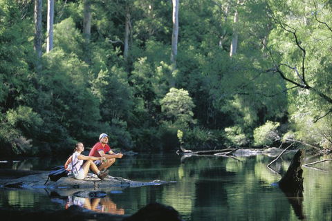 4 Day Tour: Albany, Margaret River, Valley Of The Giants TreeTop Walk From Perth - Flights 3